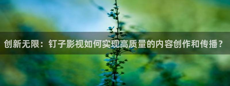 草莓视频瑟：创新无限：钉子影视如何实现高质量的内容创作和传播？