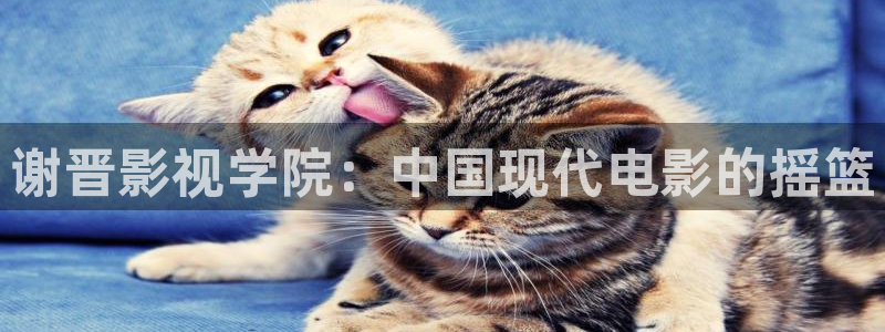 草莓视频官网下载ios：谢晋影视学院：中国现代电影的摇篮