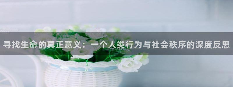 草莓视频午夜在线观影：寻找生命的真正意义：一个人类行为与社会秩序的深度反思