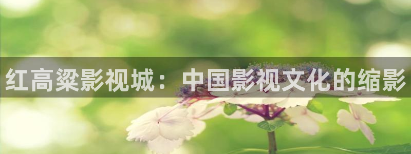 草莓视频无线观看下载：红高粱影视城：中国影视文化的缩影