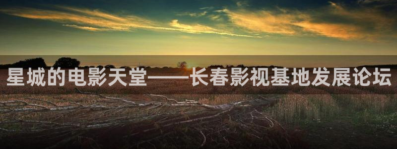 草莓视频无限观看视频网站：星城的电影天堂——长春影视基地发展论坛