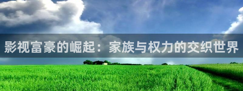 草莓视频e：影视富豪的崛起：家族与权力的交织世界